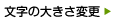 文字の大きさ変更